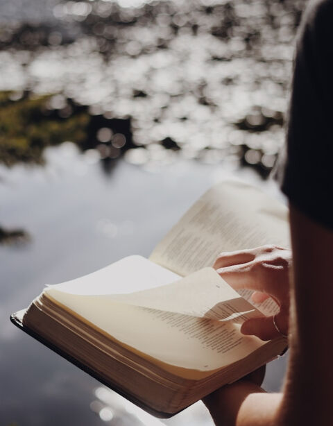 Sunday of the Word of God